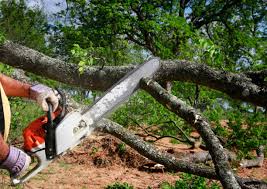 Best Lawn Grading and Leveling  in Holtville, CA